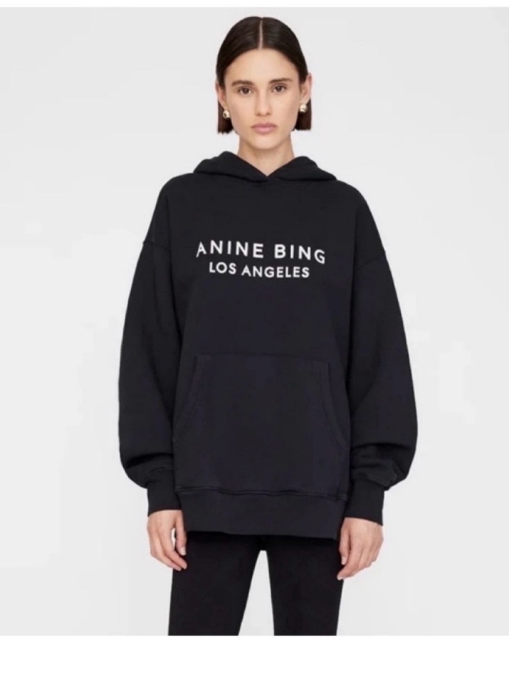 READ DESCRIPTION - BNWT Anine Bing Alto Hoodie